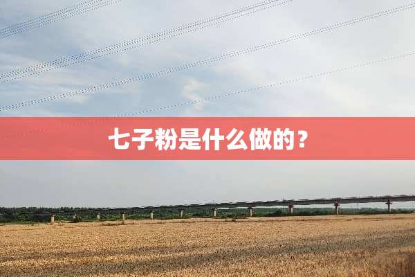 七子粉是什么做的？
