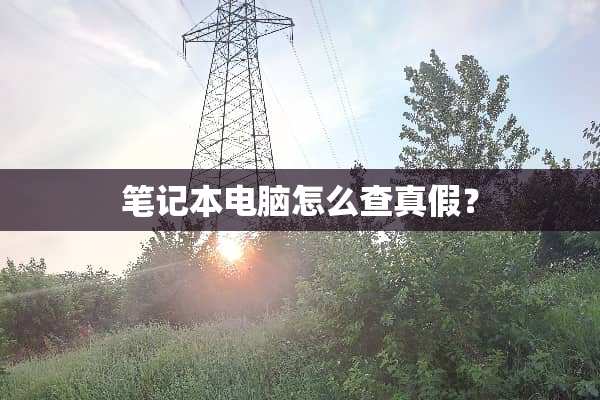 笔记本电脑怎么查真假？