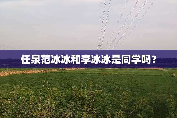 任泉范冰冰和李冰冰是同学吗？