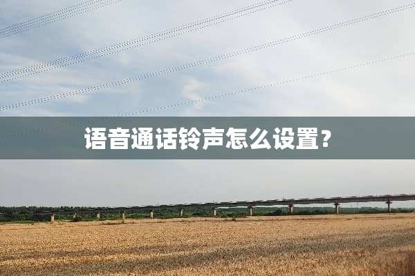 语音通话铃声怎么设置？