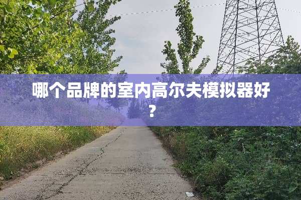 哪个品牌的室内高尔夫模拟器好？