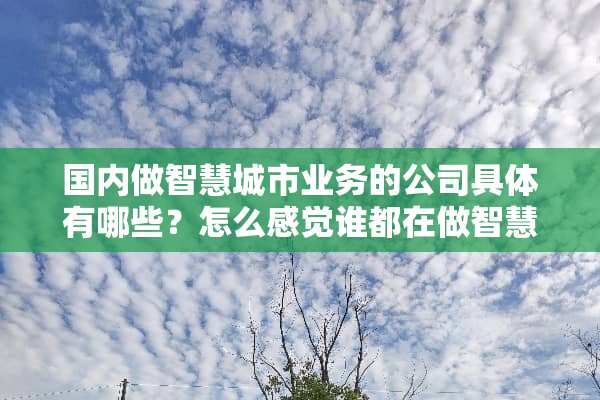 国内做智慧城市业务的公司具体有哪些？怎么感觉谁都在做智慧城市？