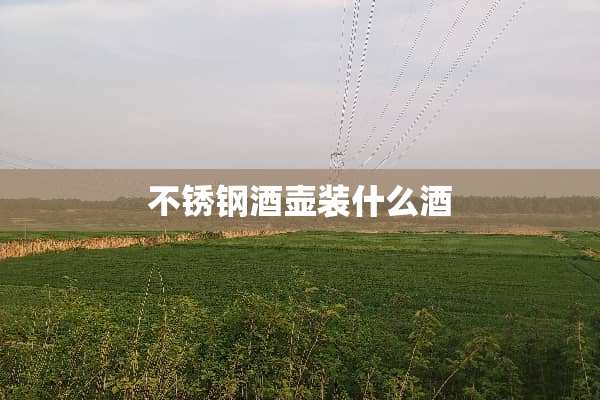 不锈钢酒壶装什么酒