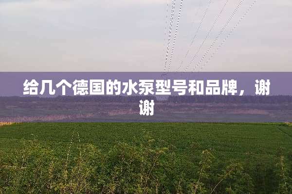 给几个德国的水泵型号和品牌，谢谢