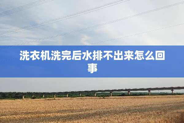 洗衣机洗完后水排不出来怎么回事