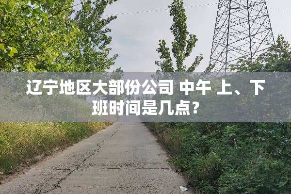 辽宁地区大部份公司 中午 上、下班时间是几点？
