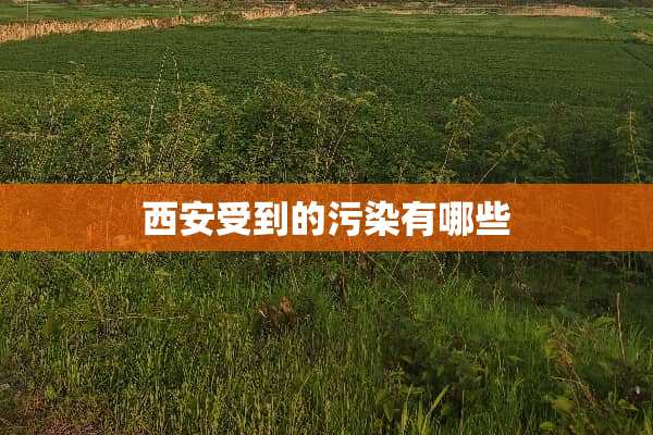 西安受到的污染有哪些