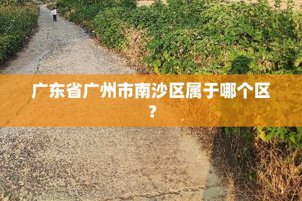 广东省广州市南沙区属于哪个区？