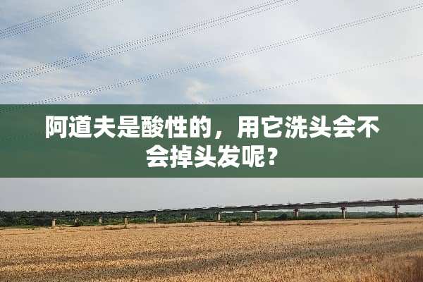 阿道夫是酸性的，用它洗头会不会掉头发呢？