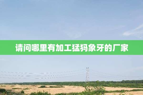 请问哪里有加工猛犸象牙的厂家