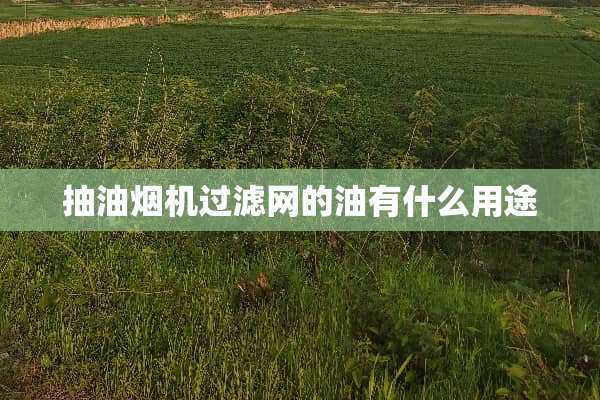 抽油烟机过滤网的油有什么用途