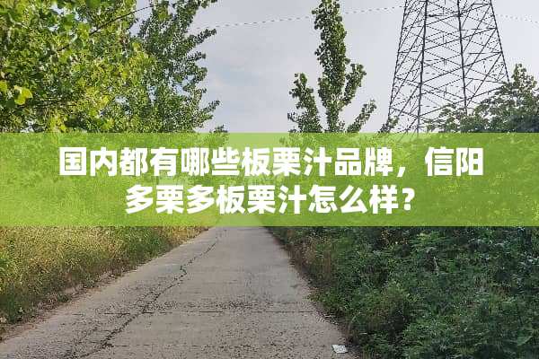国内都有哪些板栗汁品牌，信阳多栗多板栗汁怎么样？