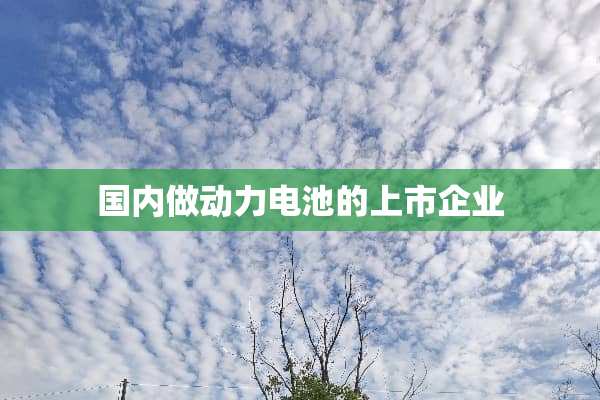 国内做动力电池的上市企业