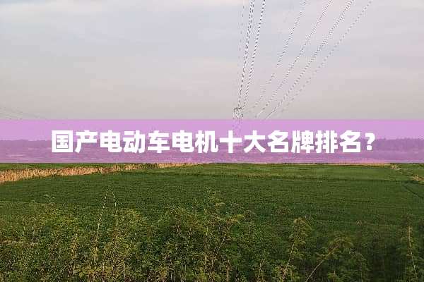 国产电动车电机十大名牌排名？