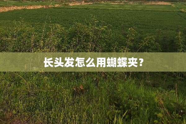 长头发怎么用蝴蝶夹？