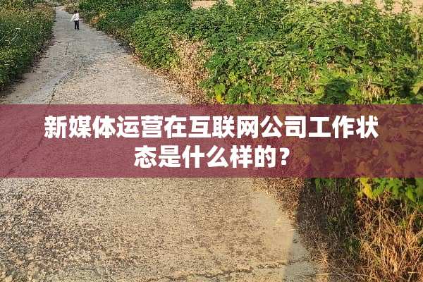 新媒体运营在互联网公司工作状态是什么样的？