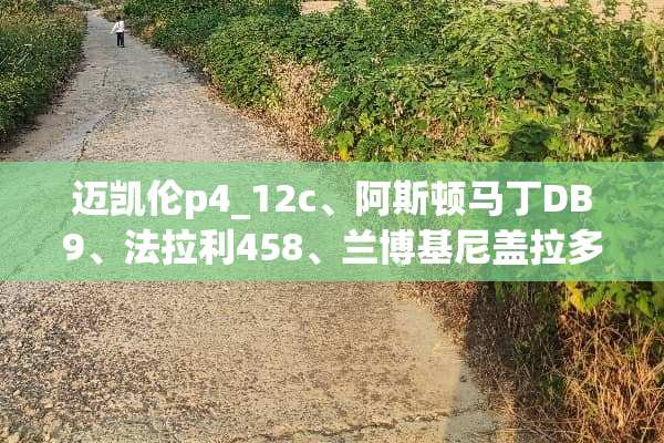 迈凯伦p4_12c、阿斯顿马丁DB9、法拉利458、兰博基尼盖拉多，哪个好？