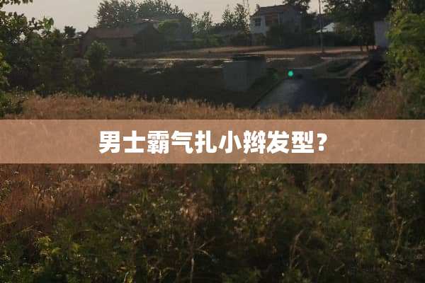 男士霸气扎小辫发型？