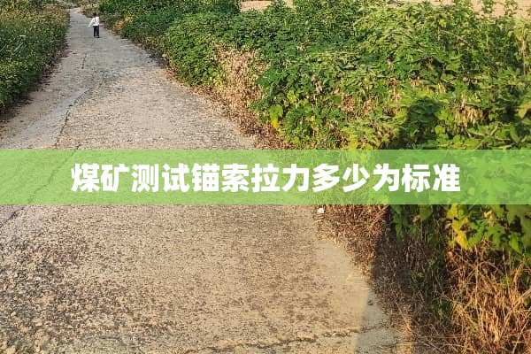 煤矿测试锚索拉力多少为标准