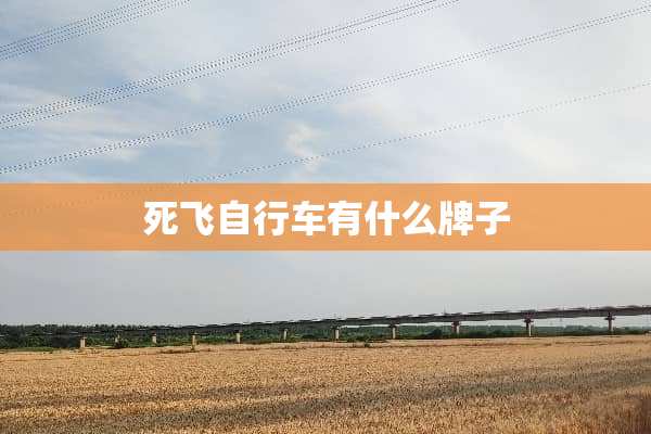 死飞自行车有什么牌子