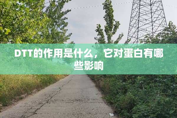 DTT的作用是什么，它对蛋白有哪些影响
