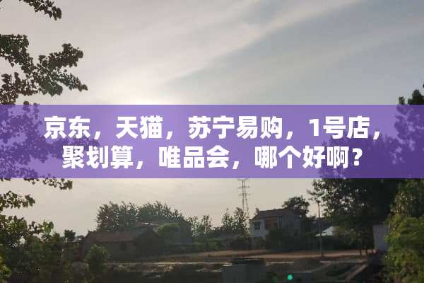 京东，天猫，苏宁易购，1号店，聚划算，唯品会，哪个好啊？