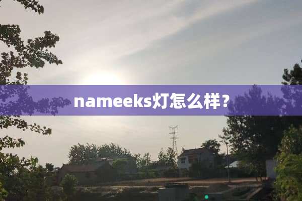 nameeks灯怎么样？