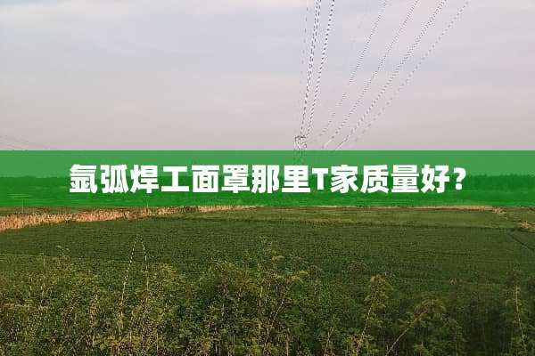 氩弧焊工面罩那里T家质量好？