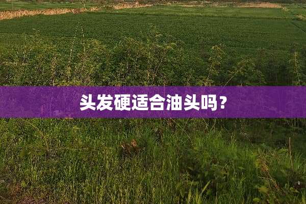头发硬适合油头吗？