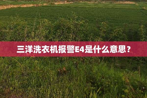 三洋洗衣机报警E4是什么意思？