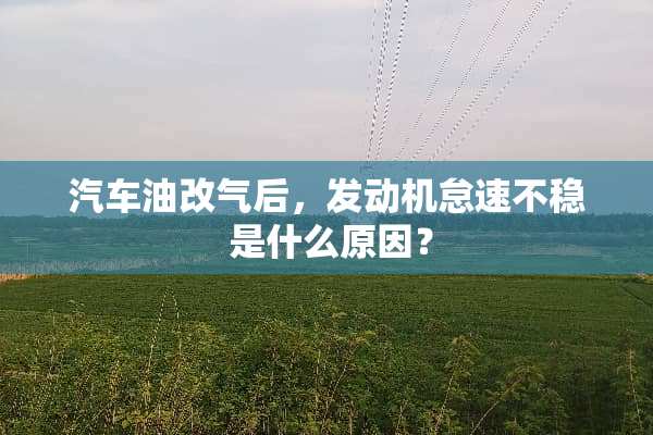 汽车油改气后，发动机怠速不稳 是什么原因？