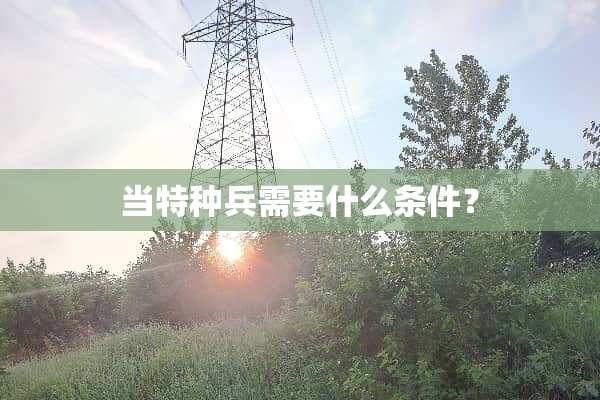 当特种兵需要什么条件？