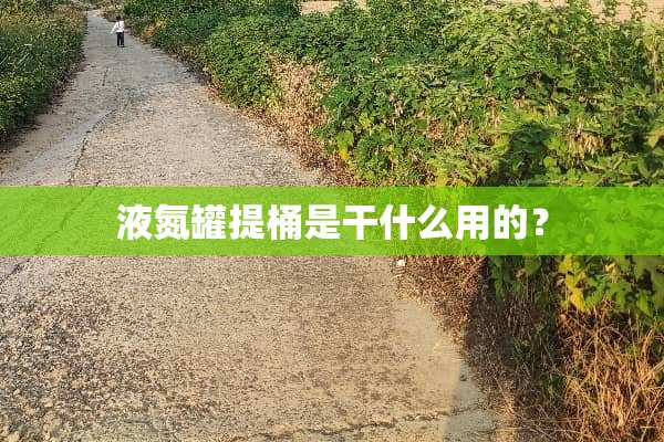 液氮罐提桶是干什么用的？