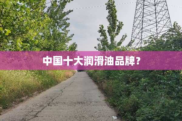 中国十大润滑油品牌？