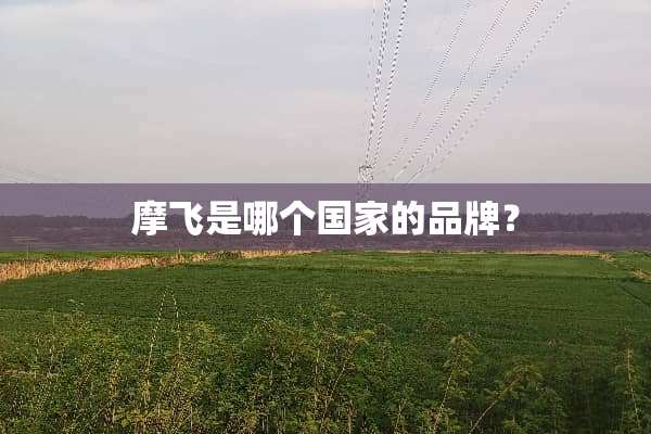 摩飞是哪个国家的品牌？