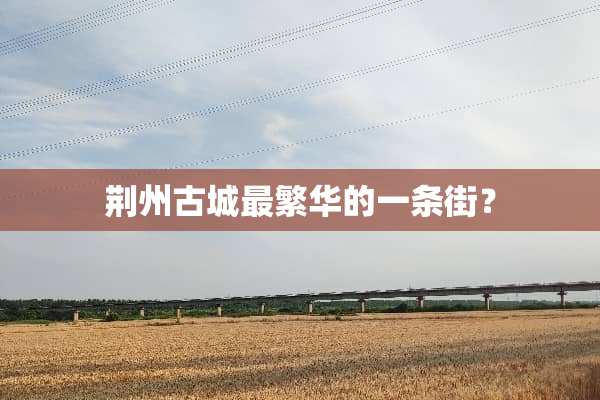 荆州古城最繁华的一条街？