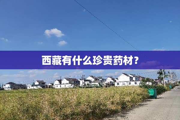 西藏有什么珍贵药材？