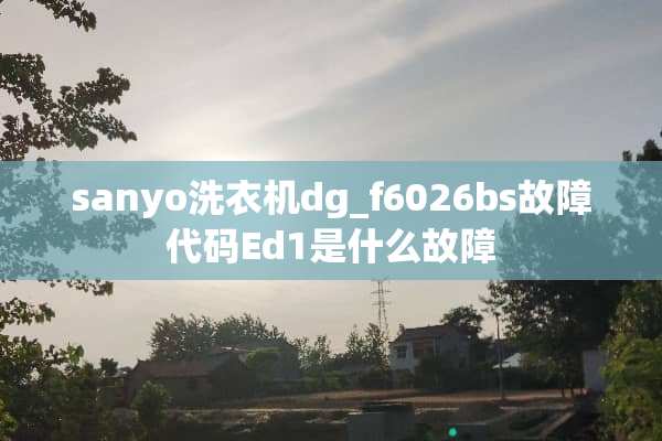 sanyo洗衣机dg_f6026bs故障代码Ed1是什么故障