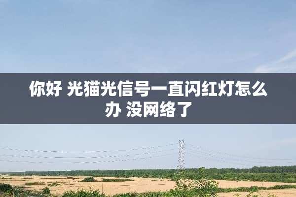 你好 光猫光信号一直闪红灯怎么办 没网络了