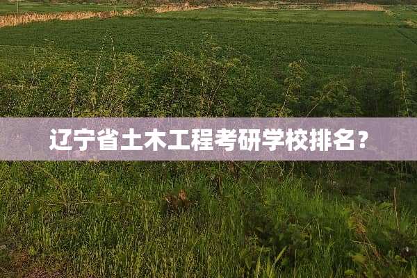辽宁省土木工程考研学校排名？