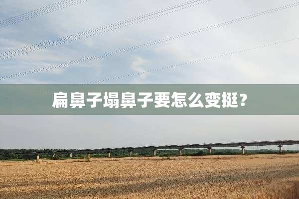 扁鼻子塌鼻子要怎么变挺？