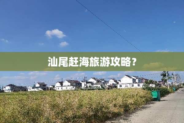 汕尾赶海旅游攻略？