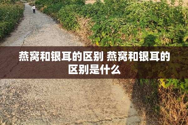 燕窝和银耳的区别 燕窝和银耳的区别是什么