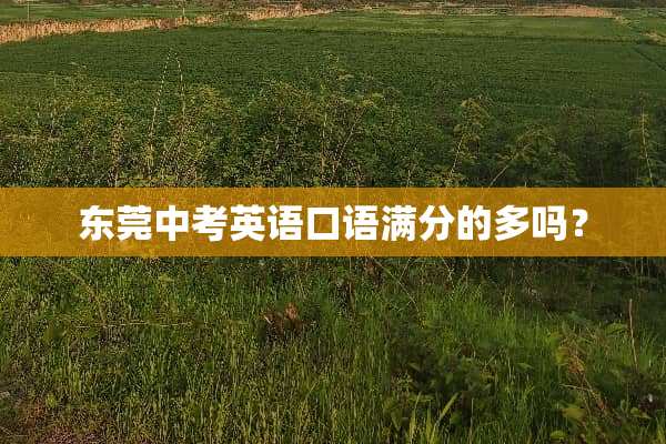 东莞中考英语口语满分的多吗？