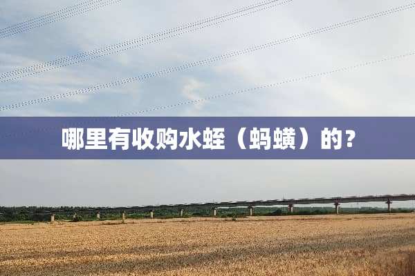 哪里有收购水蛭（蚂蟥）的？