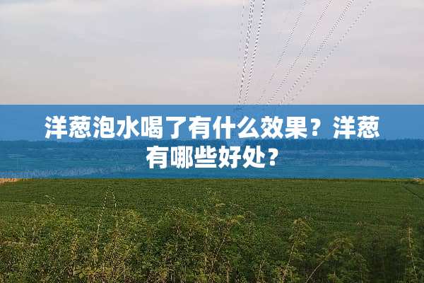 洋葱泡水喝了有什么效果？洋葱有哪些好处？
