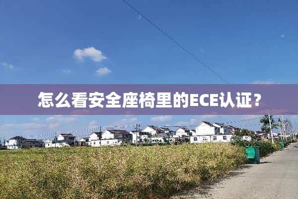怎么看安全座椅里的ECE认证？