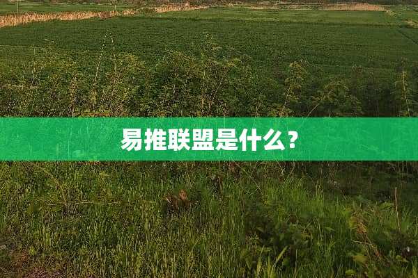 易推联盟是什么？