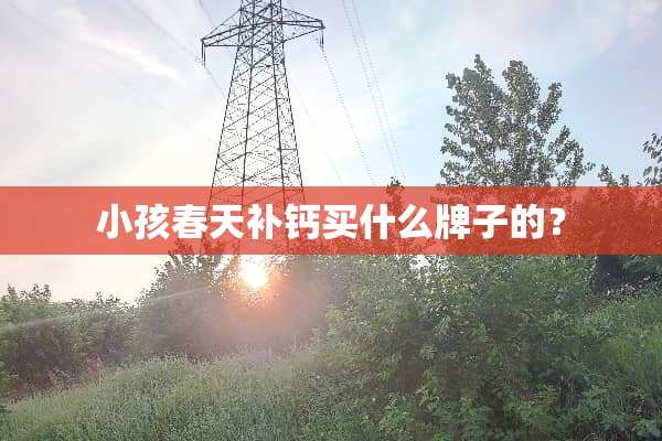 小孩春天补钙买什么牌子的？
