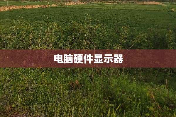 电脑硬件显示器